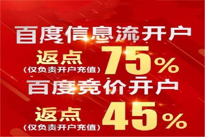 百度竞价广告的预算管理与投放策略调整